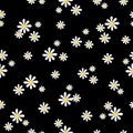 Beautiful seamless pattern Small and large white floral background placed randomly distributed on a black background