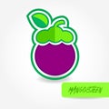 Mangosteen fresh fruit graphic vector illustration. Royalty Free Stock Photo