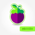 Mangosteen fresh fruit graphic vector illustration. Royalty Free Stock Photo