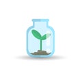 Seedlings in jars that create vector.