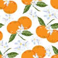 Vector illustration of tangerines and flowering. Seamless background with citrus fruits and flowers. Royalty Free Stock Photo