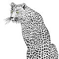 Vector leopard executed in the form of a tattoo Royalty Free Stock Photo