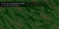 Green forest camouflage seamless pattern Royalty Free Stock Photo