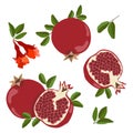 pomegranates. Set of fresh whole, half, sliced Ã¢â¬â¹Ã¢â¬â¹pomegranate fruits, flowers, leaves isolated on a white background.
