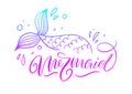 Mermaid lettering with hand drawn mermaid`s tail Royalty Free Stock Photo