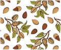 Vector illustration of sketch hand drawn pattern with colorful branches almond nuts, tree. Vintage,organic, vegan, food Royalty Free Stock Photo