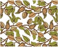 Vector illustration of sketch hand drawn pattern with colorful branches almond nuts, tree. Vintage, organic, vegan, food Royalty Free Stock Photo