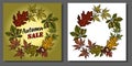 Vector illustration of set Autumn sale background. Ink sketch hand drawn colorful chestnuts, Fall leaves Royalty Free Stock Photo