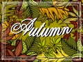 Vector illustration of set Autumn sale background. Ink sketch hand drawn colorful chestnuts, Fall leaves Royalty Free Stock Photo