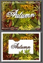 Vector illustration of set Autumn sale background. Ink sketch hand drawn colorful chestnuts, Fall leaves Royalty Free Stock Photo