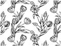 Sketch hand drawn pattern with black vintage tulip flowers isolated on white background. Retro line art flower Royalty Free Stock Photo