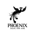 Phoenix animal design logo vector. Royalty Free Stock Photo