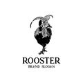 rooster hand drawn design logo vector.