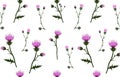 Flower pattern of thistle. Seamless cute floral vector pattern. Purple Scottish flowers with thorns.