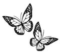 Vector butterflies icon silhouette set Royalty Free Stock Photo