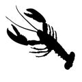 silhouette of shrimp or lobster on white background Royalty Free Stock Photo