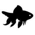 silhouette of fish on white background Royalty Free Stock Photo