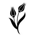 Silhouette of a flower bud vector art Royalty Free Stock Photo