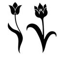 Set of silhouette of a flower bud vector art Royalty Free Stock Photo