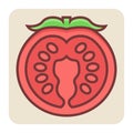 Filled color outline icon for half tomato.