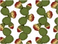 Vector illustration of sketch hand drawn pattern with green cacti, red cactus flower and opuntia isolated on white background.