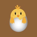 Vector illustration, newly hatched chick in an egg, simple flat design concept