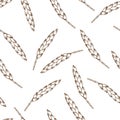 Simple vector seamless pattern. Dark brown contour of spikelet of wheat, cereal, growing organic plants, seasonal harvest.