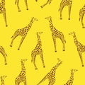 Hand-drawn bright seamless vector pattern. Full-length brown giraffe on a yellow background. Royalty Free Stock Photo