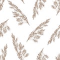 Simple calm gentle floral vector seamless pattern. Beige gray twigs of pampas grass on a white background. For prints of fabric.