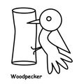 Woodpecker children book illustration, trace and coloring vector world wild animal Royalty Free Stock Photo