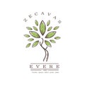 logo nature organic brand design vector