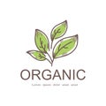 logo nature organic brand design vector