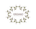 logo nature organic brand design vector