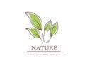 logo nature organic brand design vector