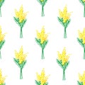 Simple calm gentle hand-drawn floral vector color seamless pattern. Branches, bouquets of mimosa on a white background.