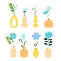 Set of different flowers and plants. Vases and bottles. Floral compositions. Interior decor. Vector design elements.