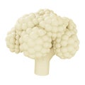 Cauliflower 3d rendering isometric icon. Royalty Free Stock Photo