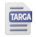 Targa file format 3d rendering isometric icon.