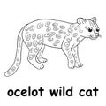 Kids line illustration coloring ocelot wild cat. animal are just lines Royalty Free Stock Photo