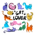 Multicolored cute cats. Illustration with different cartoon characters cats