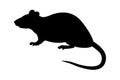 Black silhouette Rat (Rattus norvegicus).