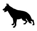 Dog breed illustration. Black silhouette German Shepherd Dog.