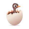 A baby ostrich in an eggshell. Cartoon drawing. Royalty Free Stock Photo