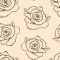 Hand-drawn vector seamless pattern. Dark brown outline of beautiful roses flowers on a light pale pink-beige background. Royalty Free Stock Photo