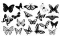 Butterfly silhouette icons set Royalty Free Stock Photo