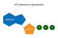 Adenosine triphosphate (ATP). Chemical formula.