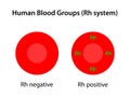 Human blood groups, Rh system Royalty Free Stock Photo