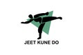jeet kune do sport vector line icon. Royalty Free Stock Photo