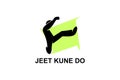 jeet kune do sport vector line icon.