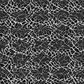 Black and white abstract pattern, background, motif of wood cracks and leaf bones on top Royalty Free Stock Photo